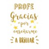 COJIN PROFESOR VARIOS DISEÑOS