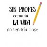 COJIN PROFESOR VARIOS DISEÑOS