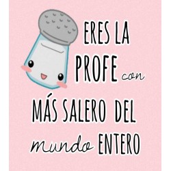 COJIN PROFESORA VARIOS DISEÑOS