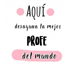 COJIN PROFESORA VARIOS DISEÑOS