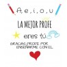 COJIN PROFESORA VARIOS DISEÑOS