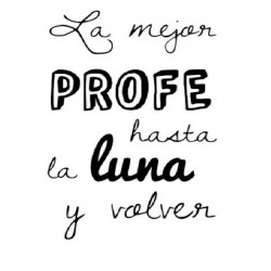 COJIN PROFESORA VARIOS DISEÑOS