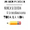 PORTALAPICES PROFESOR