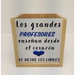 PORTALAPICES PROFESOR