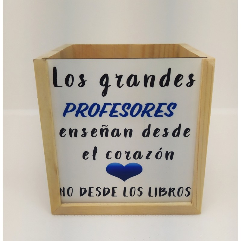 PORTALAPICES PROFESOR