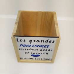 PORTALAPICES PROFESOR