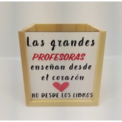 PORTALAPICERO PROFESORA