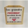 PORTALAPICERO PROFESORA