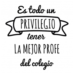 PORTALAPICERO PROFESORA