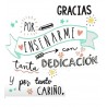 PORTALAPICERO PROFESORA