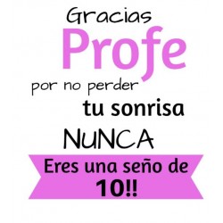 PORTALAPICERO PROFESORA