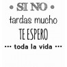 TAZA FRASE AMOR VARIOS DISEÑOS