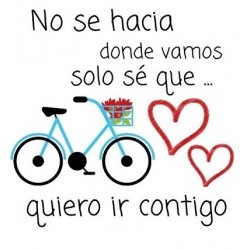 COJIN FRASE AMOR VARIOS DISEÑOS