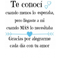 CERVEZA ARTESANA FRASE AMOR