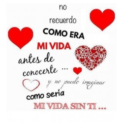 CERVEZA ARTESANA FRASE AMOR