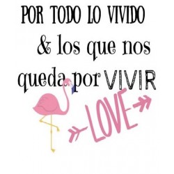 CERVEZA ARTESANA FRASE AMOR