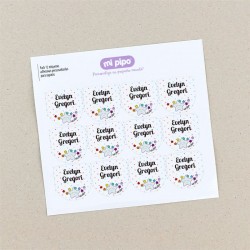 Pack 12 etiquetas personalizadas para zapatos Varios diseños