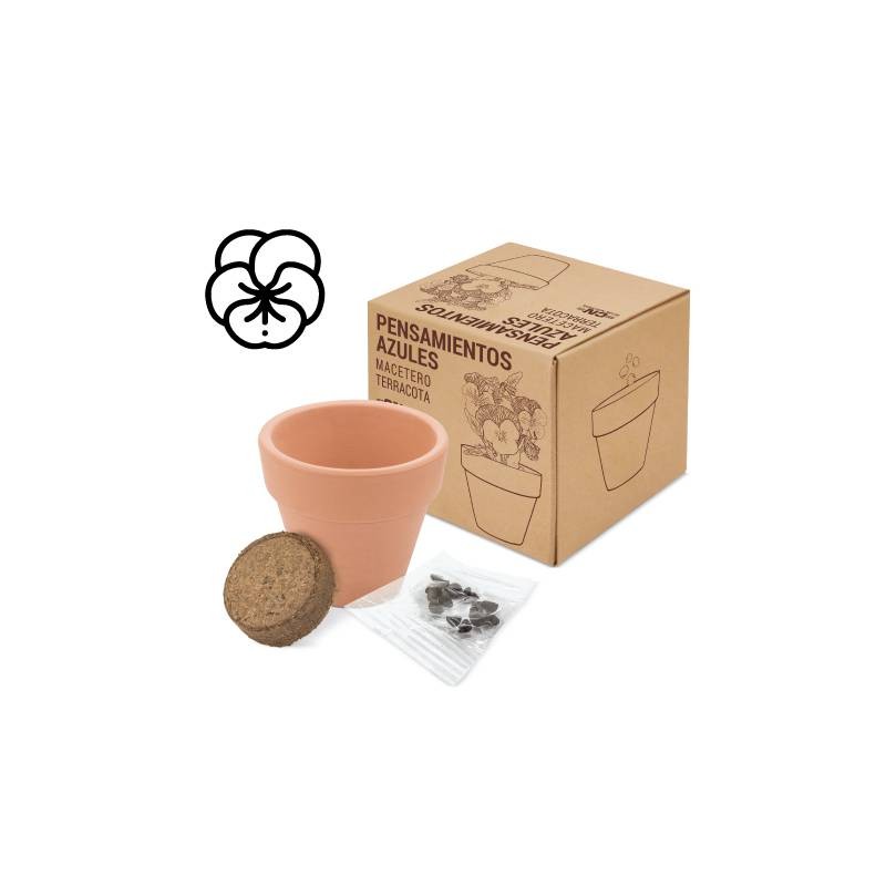 MACETA TERRACOTA CON SEMILLAS