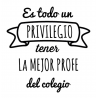 TAZA PROFE VARIOS DISEÑOS